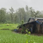 દેવ સૂતી અગિયારસ