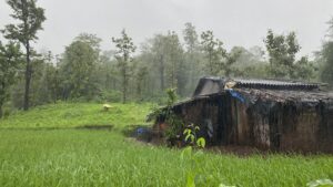 દેવ સૂતી અગિયારસ